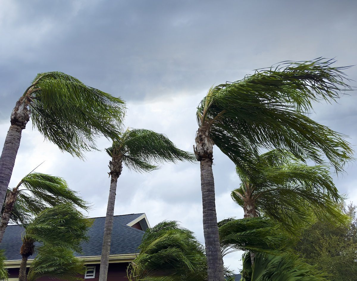 Hurricane home preparation in Suncoast Estates, FL