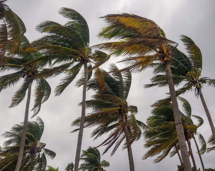 Hurricane Home Preparation in Florida